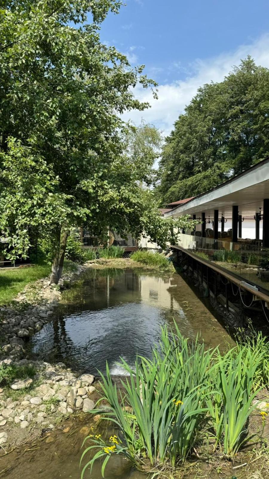 Marabou Resort Braszów Zewnętrze zdjęcie
