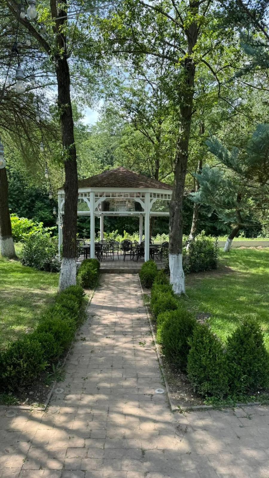 Marabou Resort Braszów Zewnętrze zdjęcie